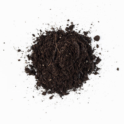 Compost Plus - Container & Transplant Booster Mix