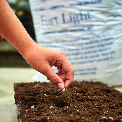Fort Light - Lightweight Compost-Based Potting Mix